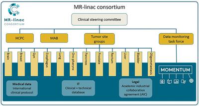 The MOMENTUM Study: An International Registry for the Evidence-Based Introduction of MR-Guided Adaptive Therapy